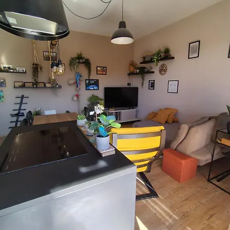 Con Vista Borgaro Apartamento