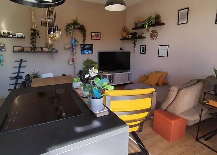 Con Vista Borgaro Apartamento